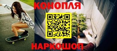 крисы Беслан