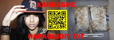крисы Беслан