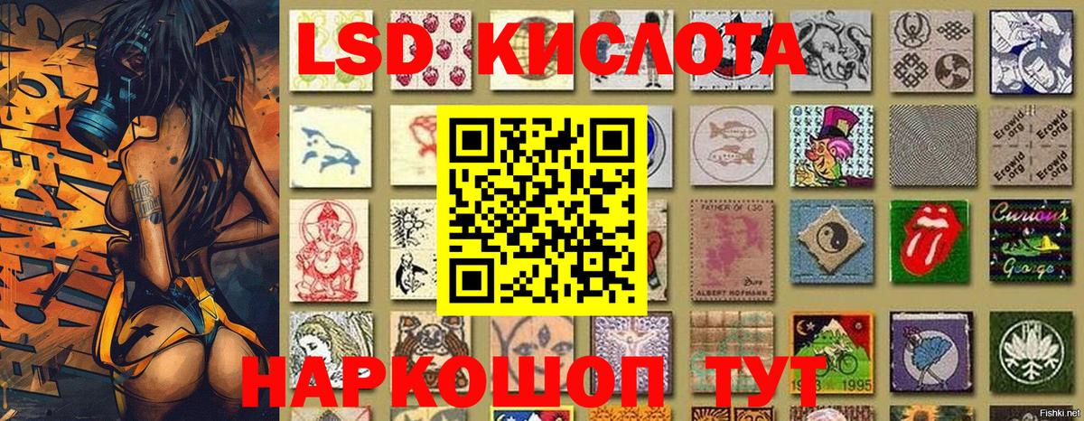 Камышлов  Марки N-bome  как найти   Марки 25I-NBOMe 1500мкг  Марки 25I-NBOMe 1500мкг  Вход с VPN 